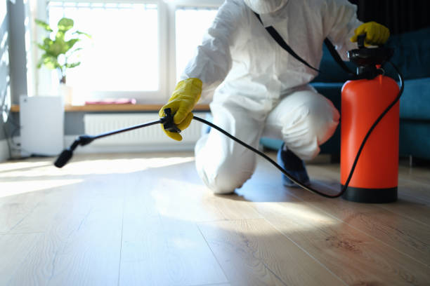 Reliable Unattended Death Cleanup contractor in Pinecrest, CA by Crime Scene Cleaner Online